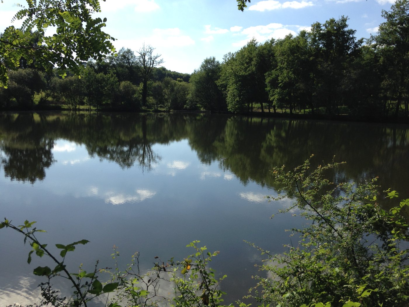 L'étang du domaine, miroir des arbres et du ciel